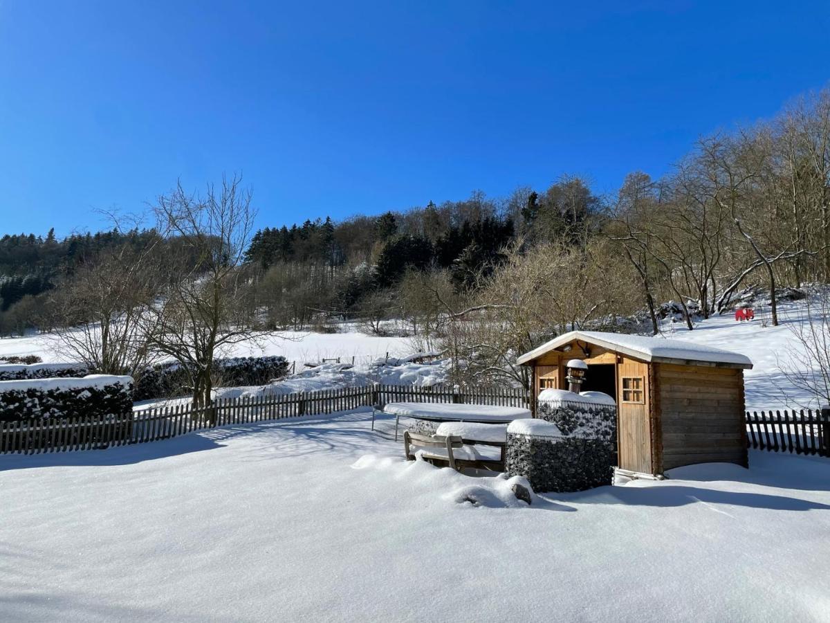 Ferienwohnung Up Willingen-Schwalefeld Willingen  Extérieur photo