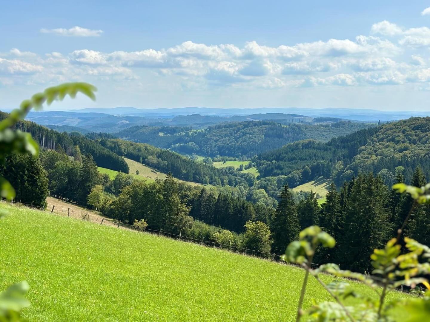 Ferienwohnung Up Willingen-Schwalefeld Willingen  Extérieur photo